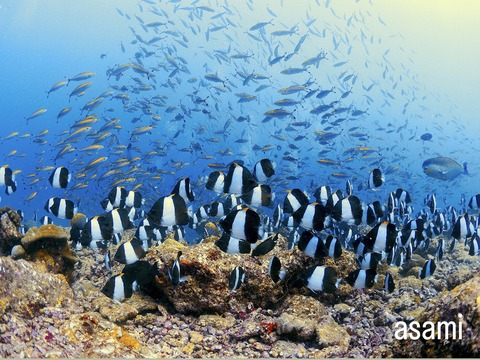 0A1B9389-C240-4552-A748-2FD4B900D218