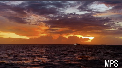 113CF98C-4995-4632-9FC7-897F7F49DB13