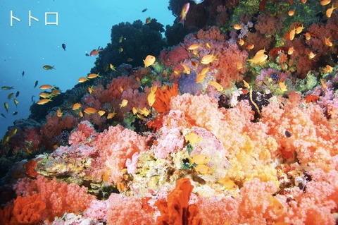 F672AE2F-4191-466C-9B16-BB1C422B9A84