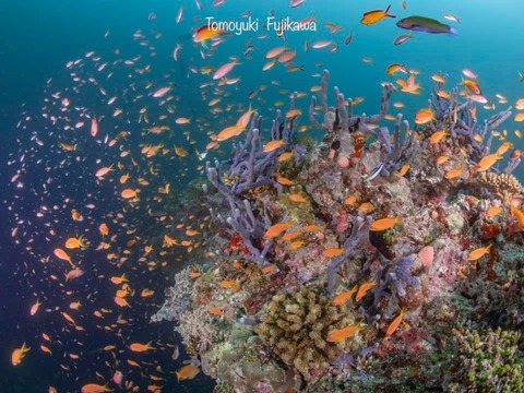 376760936_6583274875100102_6780761374422568027_n