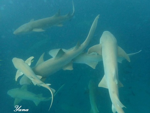 362681534_6463579253736332_3828793696636641699_n