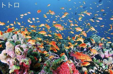 5DA8C826-20EA-4238-87CC-34F6DFB1C015