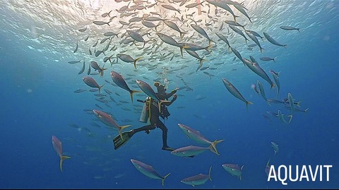 35E17FF9-89F0-4E71-B2E3-FE34C408B314