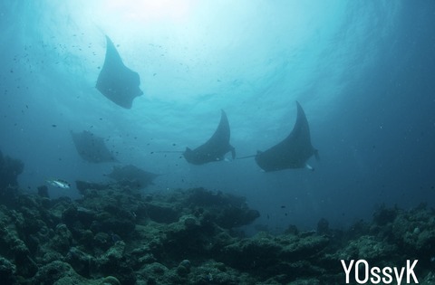 4ED4C644-071B-49D5-8289-3FF91793A7A7