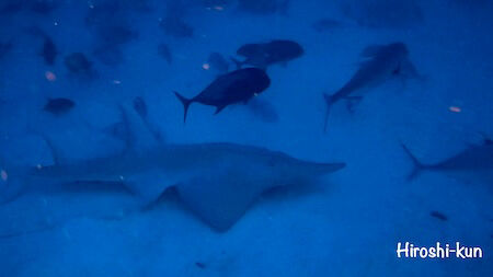 GPTempDownload 2-2-2