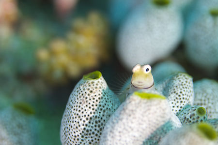 名称未設定-1(ドラッグされました) 5