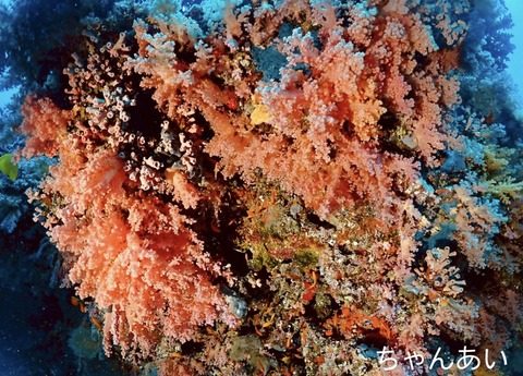 527CAC5D-9C74-4E7E-893C-206A2258380E