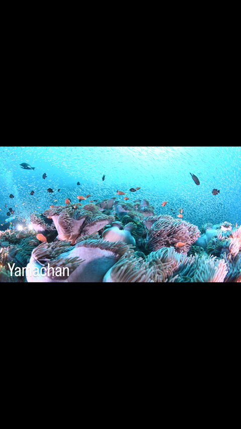 A473953D-F74A-4765-9B38-C22208D5582A