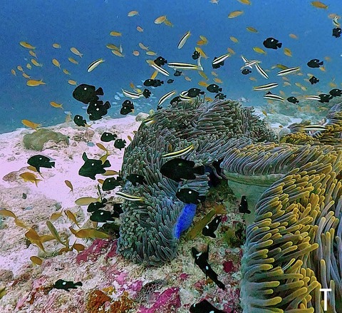 6FC9CCF3-42CB-4A5A-A277-ED15FA95F0B1