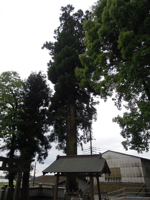 DSCN2007