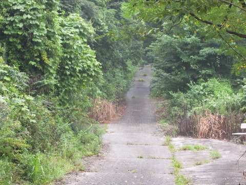 DSCN2382
