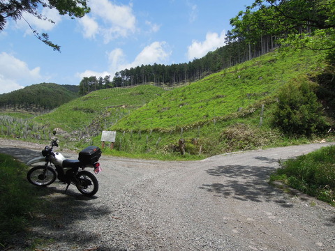 DSCN2727