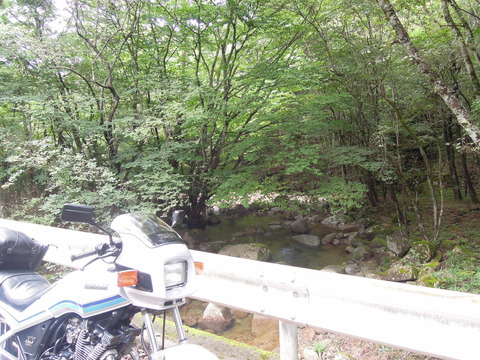 DSCN2404