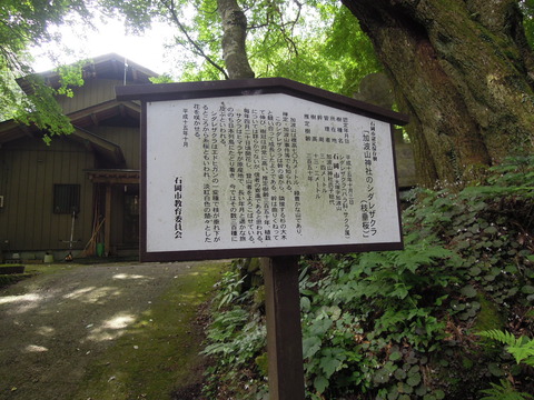 DSCN2355