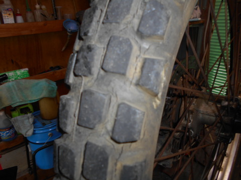 DSCN6447