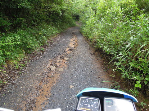 DSCN2377