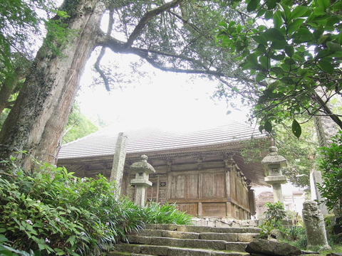 DSCN0578