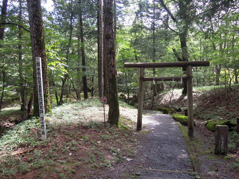 DSCN2407