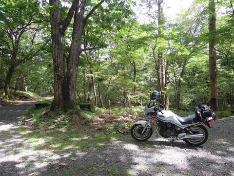 DSCN2405