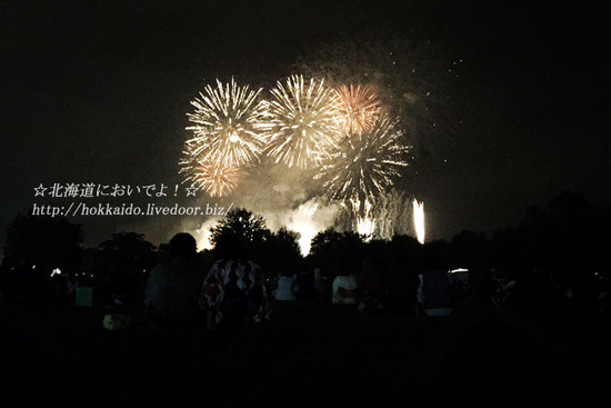 ����ֲ���� 2015
