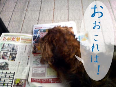 スゴイ!