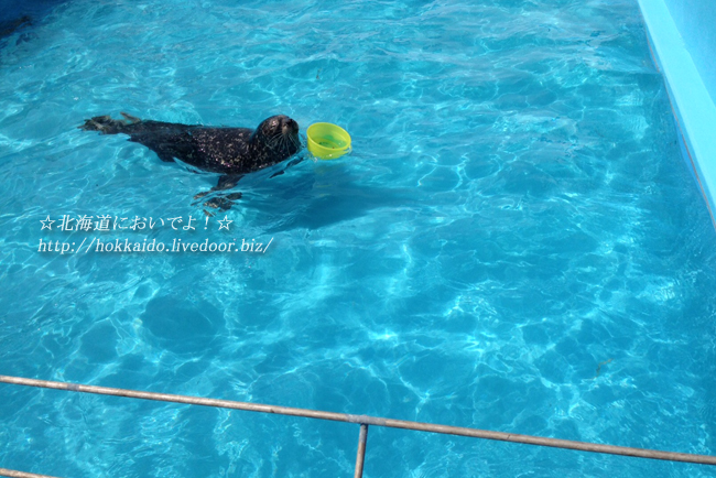 GW ��Ω������²�ۤ˹ԤäƤ���