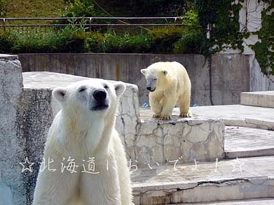 �򷧤���