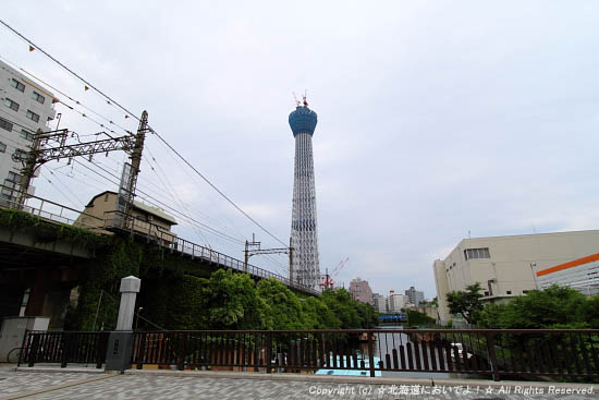 ���������鸫������������ĥ꡼