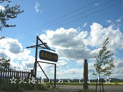 ������Υ��르���벰