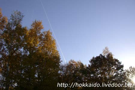 秋の富良野