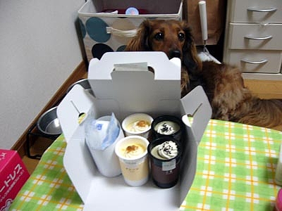 コートドールのスイーツ