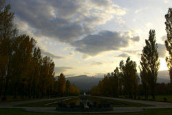 前田森林公園