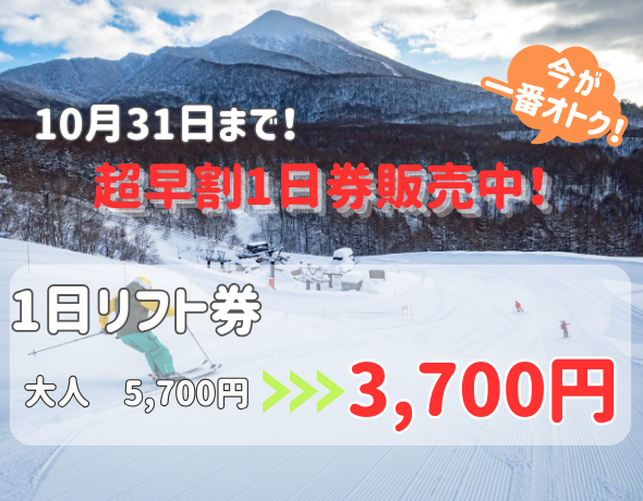 ネコママウンテン　リフト券2日分 ネコママウンテン リフト券 ネコママウンテン リフト券 2日分×2枚 星野