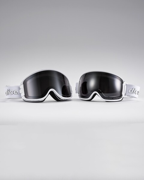 25-26 DICE GOGGLE LIMITED MODEL | mallard 25-26 DICE GOGGLE LIMITED MODEL | mallard