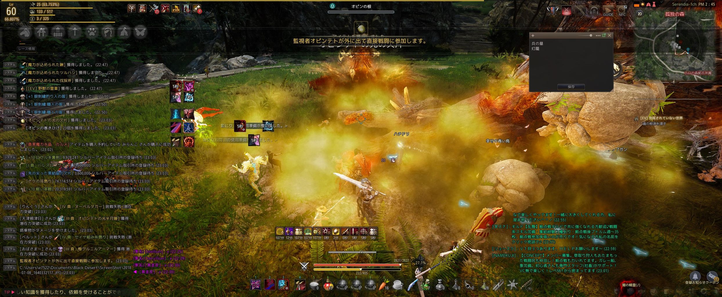 黒い砂漠プレイ176日目の記録 Mallow S ゲーム日記 更新停止