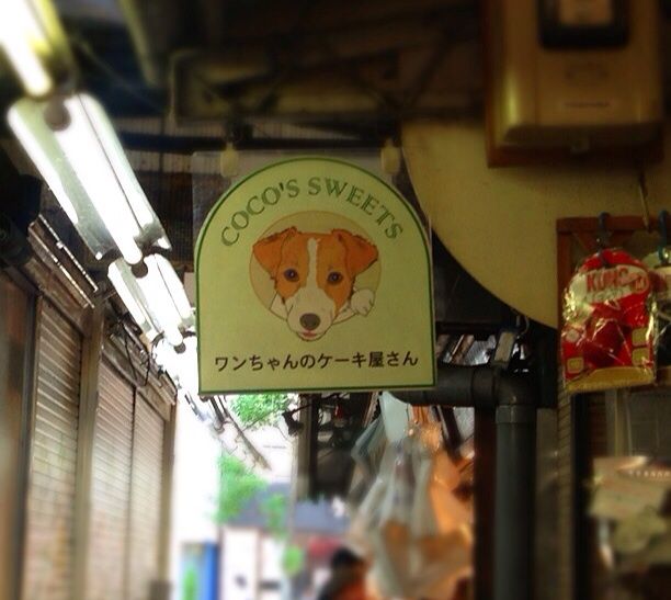 犬のケーキ屋さん まるろぐ
