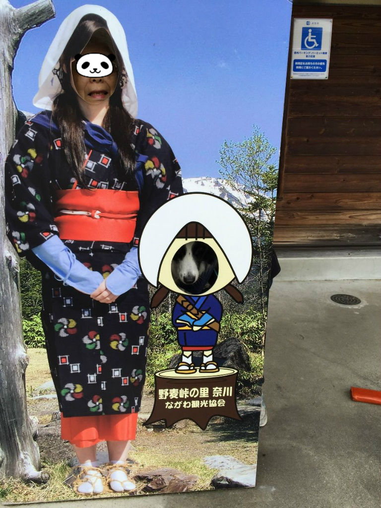 あゝ野麦峠 の紅葉はちょっと早かったね 先週 あひるの安曇野日記 あゝ野麦峠 の紅葉はちょっと早かったね 先週 あひるの安曇野日記