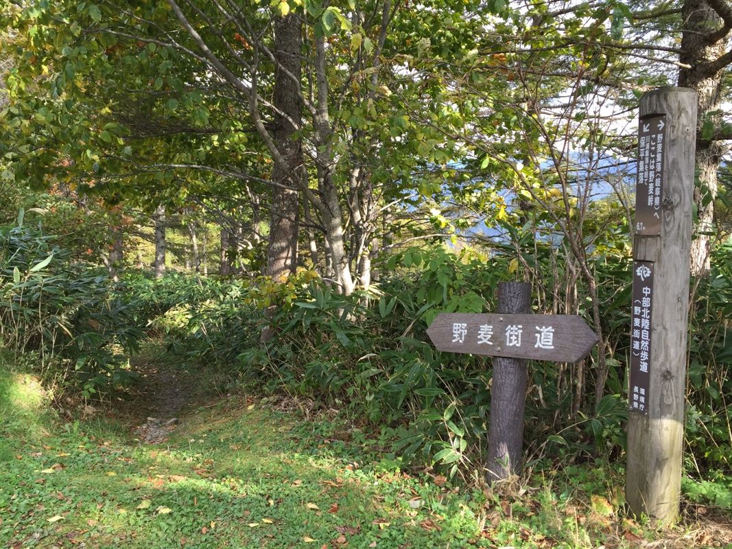 あゝ野麦峠 の紅葉はちょっと早かったね 先週 あひるの安曇野日記 あゝ野麦峠 の紅葉はちょっと早かったね 先週 あひるの安曇野日記