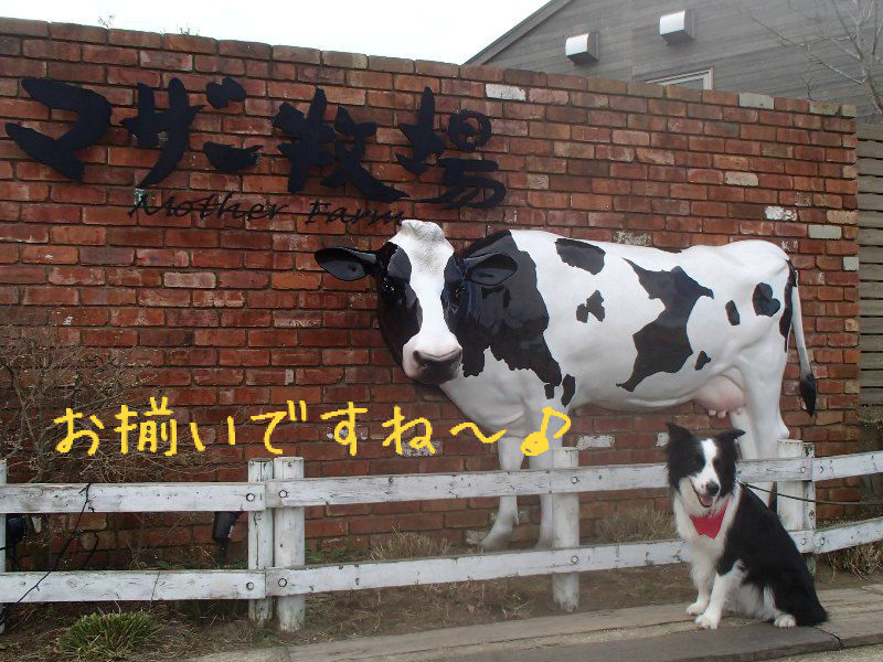 年末年始に初めて房総半島へ 大晦日のマザー牧場 あひるの安曇野日記