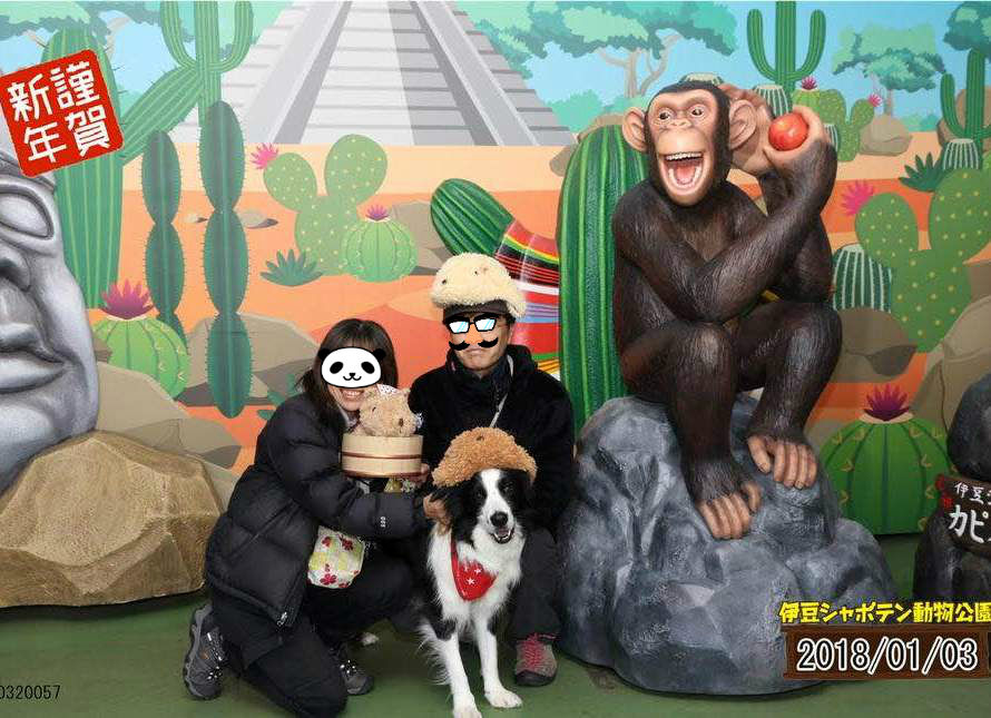 お風呂嫌いだけどカピバラになれて嬉しい モモタロさんとお風呂大好きカピバラさん あひるの安曇野日記 お風呂嫌いだけどカピバラになれて嬉しい モモタロさんとお風呂大好きカピバラさん あひるの安曇野日記