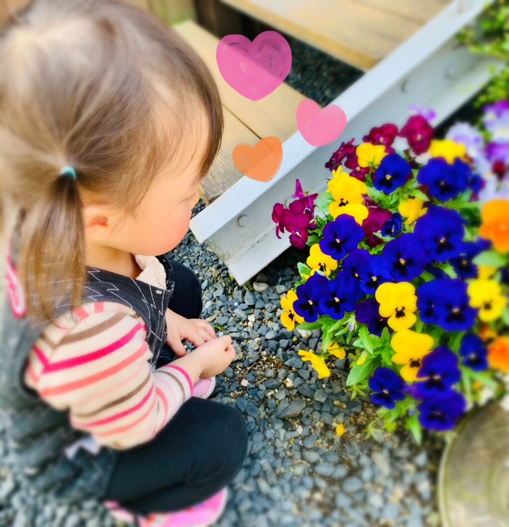 2児のオカンblog♥*̣̩⋆̩
