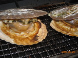 DSCN0852