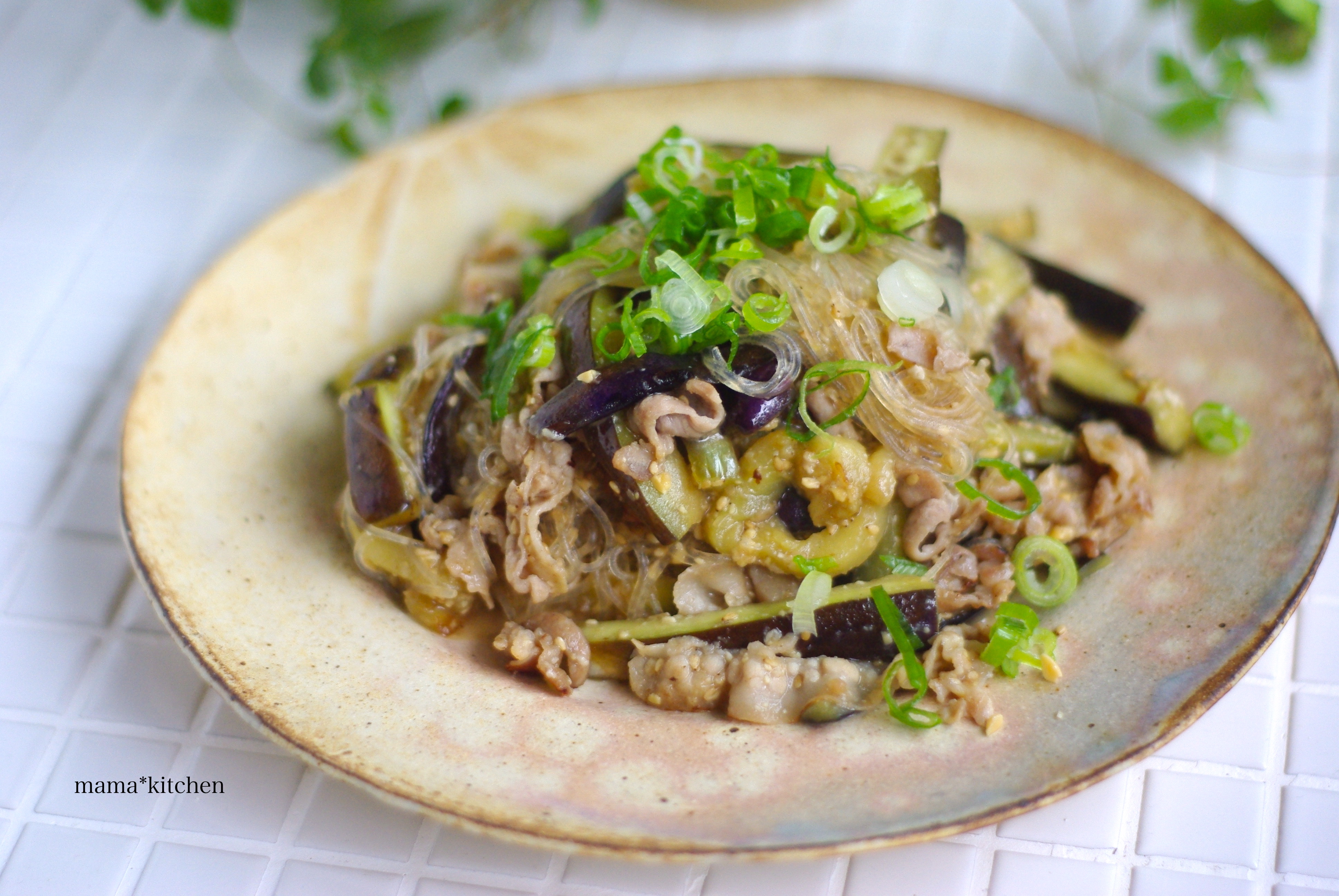 豚バラ茄子と春雨のごま味噌炒め 無邪気な子供の尖った質問 Mama Kitchen Powered By ライブドアブログ