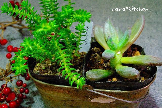 mama*kitchen★