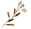 1e721580.gif