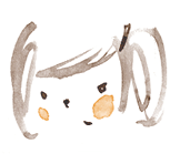 4706d7f9.gif