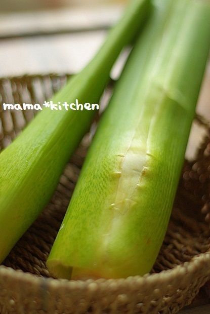 mama*kitchen