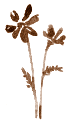 47d2f511.gif