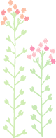 illust-flower3