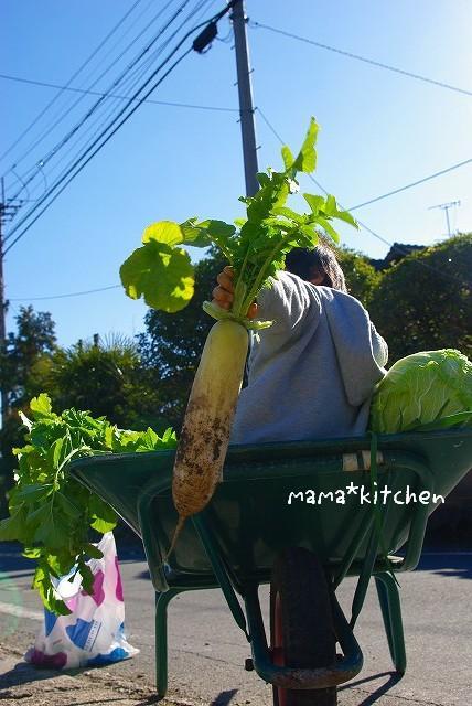 mama*kitchen★